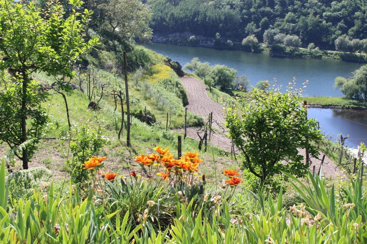 "Bouca Drigues" Casa Antiga De Pedra Com Piscina E Vista Rio Villa Amarante Eksteriør billede