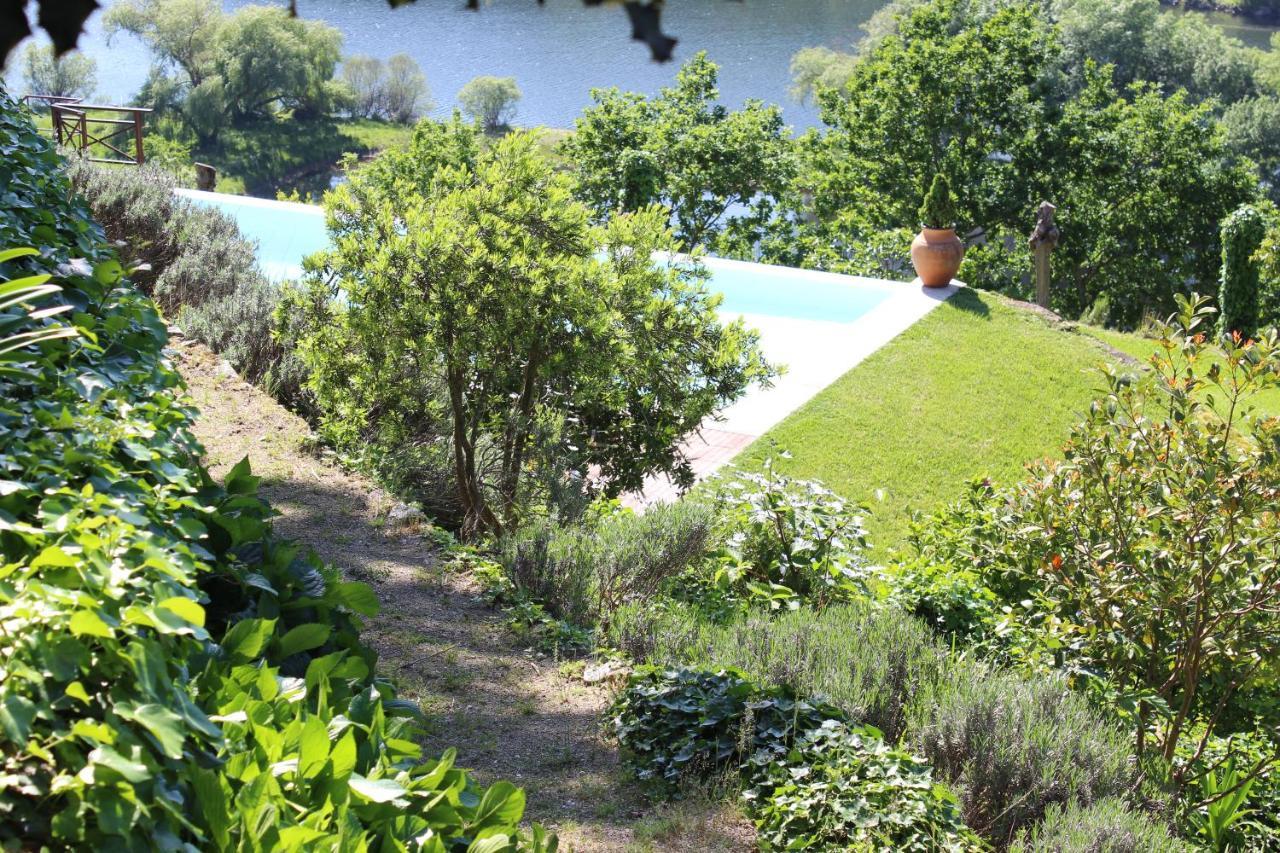 "Bouca Drigues" Casa Antiga De Pedra Com Piscina E Vista Rio Villa Amarante Eksteriør billede