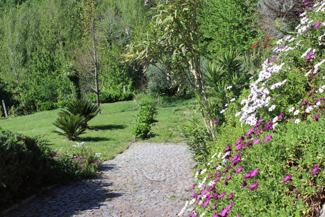 "Bouca Drigues" Casa Antiga De Pedra Com Piscina E Vista Rio Villa Amarante Eksteriør billede