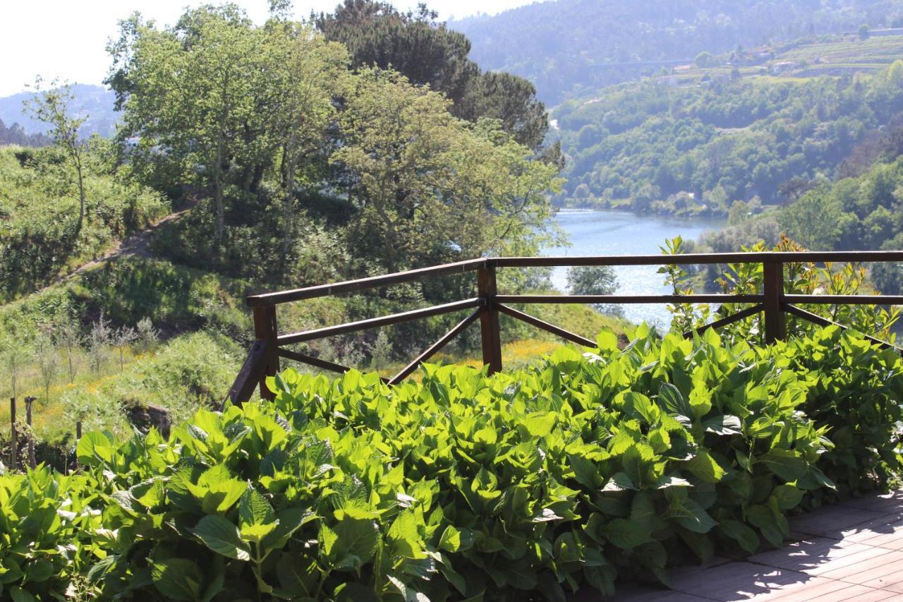 "Bouca Drigues" Casa Antiga De Pedra Com Piscina E Vista Rio Villa Amarante Eksteriør billede